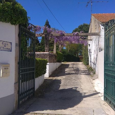 Casa Dos Arrabidos Guest House ตอร์เฮสนอวาส ภายนอก รูปภาพ