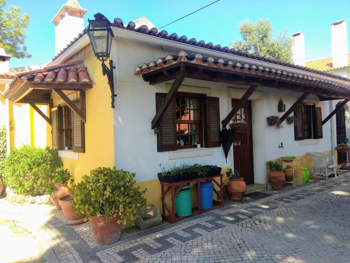 Casa Dos Arrabidos Guest House ตอร์เฮสนอวาส ภายนอก รูปภาพ