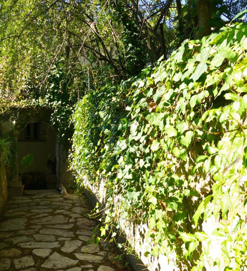 Casa Dos Arrabidos Guest House ตอร์เฮสนอวาส ภายนอก รูปภาพ