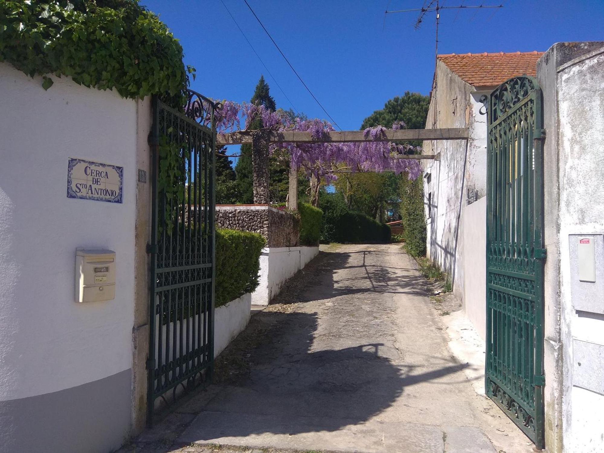 Casa Dos Arrabidos Guest House ตอร์เฮสนอวาส ภายนอก รูปภาพ