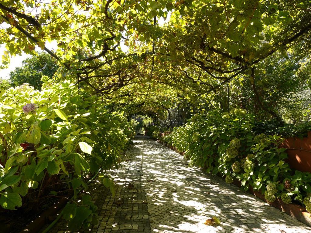 Casa Dos Arrabidos Guest House ตอร์เฮสนอวาส ภายนอก รูปภาพ