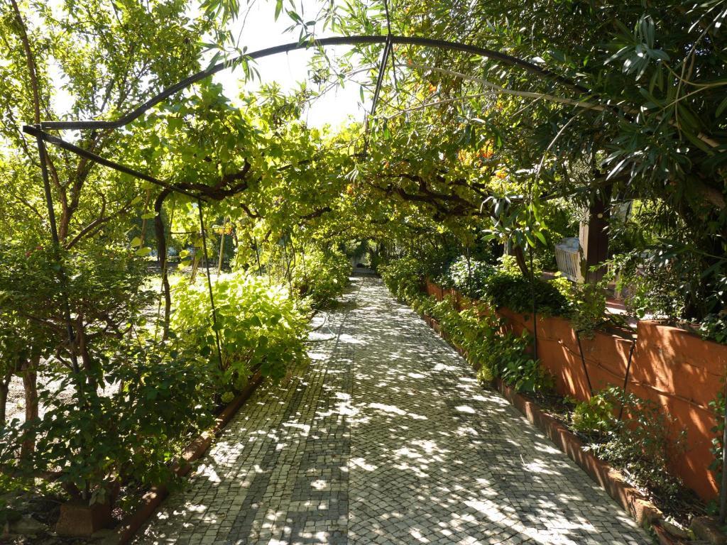 Casa Dos Arrabidos Guest House ตอร์เฮสนอวาส ภายนอก รูปภาพ